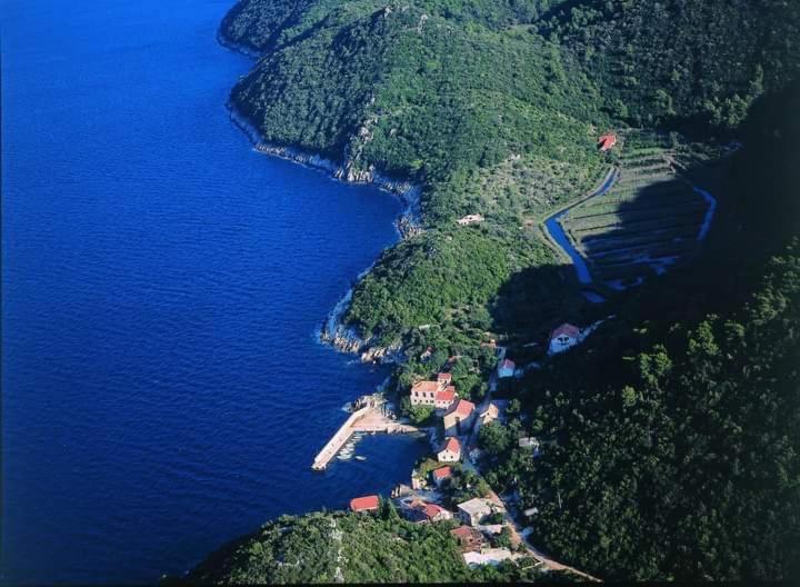 Polly Apartments With Swimming Pool Babino Polje Екстериор снимка